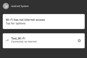Android Phone Connected to Wi-Fi but No Internet