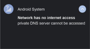 Private DNS_ cannot accessed