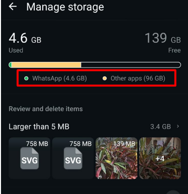 WhatsApp Storage