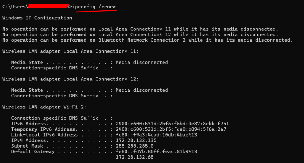 Release and Renew IP Address